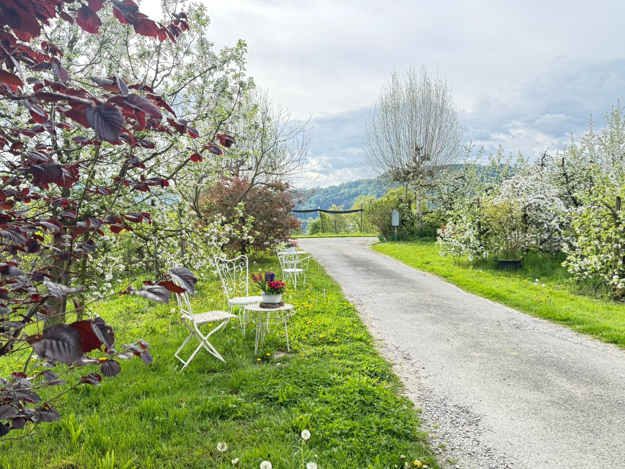 Hofeinfahrt im Frühling