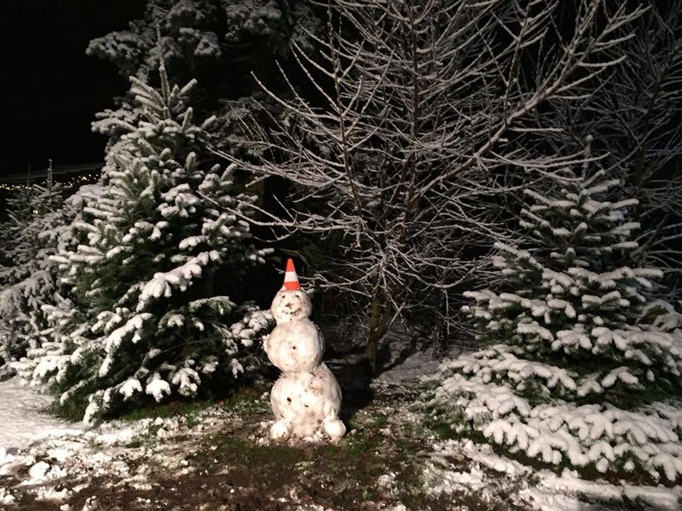 Tannenbäume und Schneemann